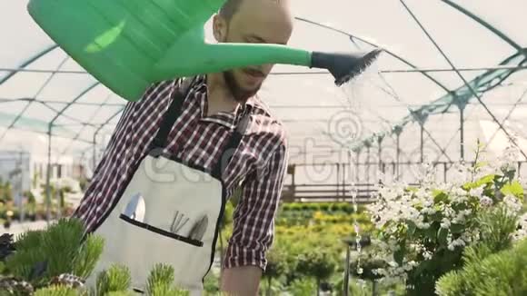 花园工具的特写园丁去温室用绿色漏斗浇灌植物花园中心视频的预览图