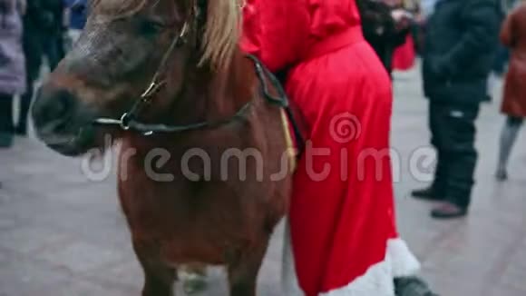 圣诞仙女棕马全景视频的预览图