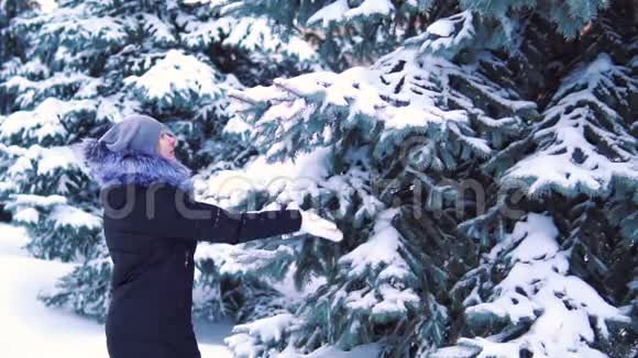 冬天的公园有白雪覆盖的树木一个女孩触摸树枝降雪慢镜头拍摄视频的预览图