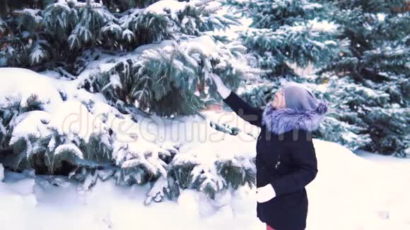 雪从一棵树落到一个女孩慢镜头拍摄冬天白雪覆盖的公园视频的预览图