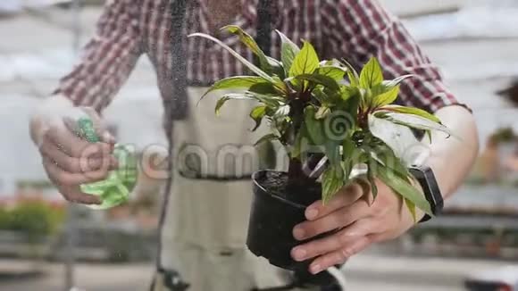 一只手握着一个漏斗一个留着胡子的男孩穿着花园围裙用水浇灌观赏植物花园视频的预览图