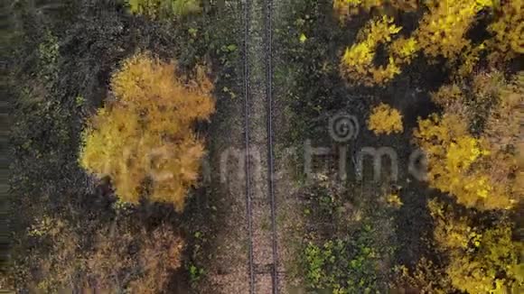 飞过穿过森林的铁路秋天空中观景铁路岔道4K视频的预览图