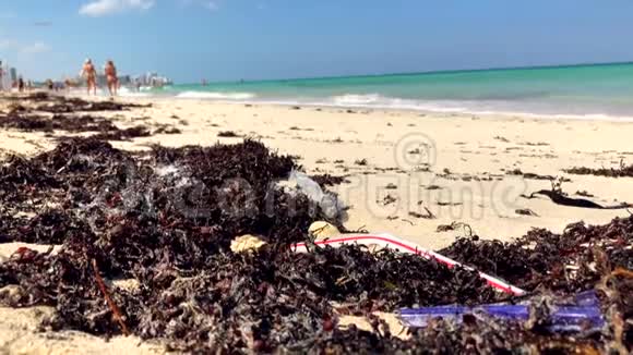 塑料和海藻迈阿密海滩视频的预览图