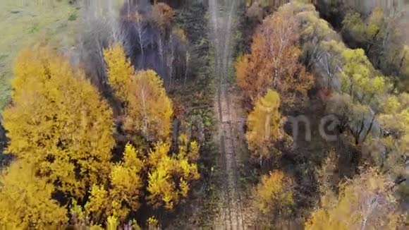 飞过穿过森林的铁路秋天空中观景铁路在路旁边4K视频的预览图
