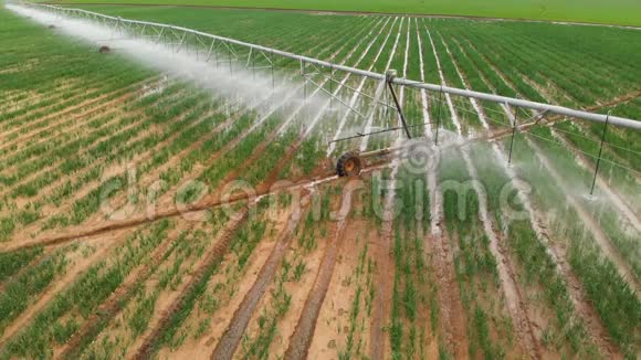 工业农业4K航空视野夏季用农作物灌溉圆田视频的预览图
