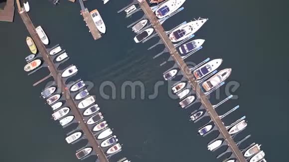 从峡湾到木墩的垂直视野摩托艇停泊处视频的预览图