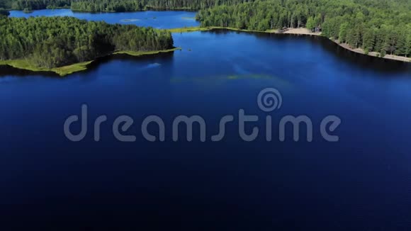 湖和森林的空中全景视频的预览图