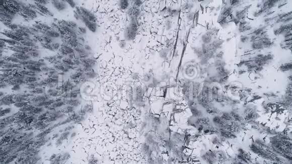 顶部的景色雪覆盖的泰加旋转视频的预览图