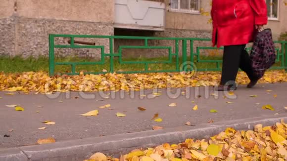 秋公园里一位老年妇女带着购物袋在人行道上散步视频的预览图
