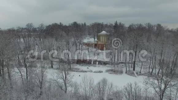 2017年12月波兰霜树间的Sybilla鸟瞰视频的预览图
