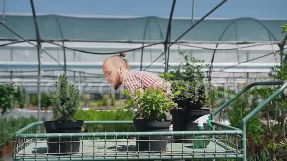 一个留着胡子的漂亮男人戴着园丁把罕见的树根和植物装进手推车里园丁在工作视频的预览图