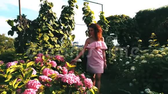 女人走近花朵触摸花园的花朵视频的预览图