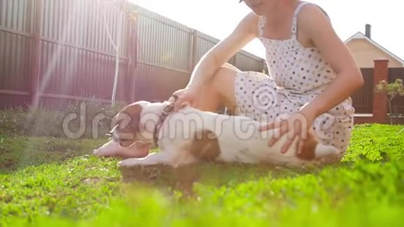 宠物和户外娱乐的概念年轻女子玩狗杰克罗素梗视频的预览图