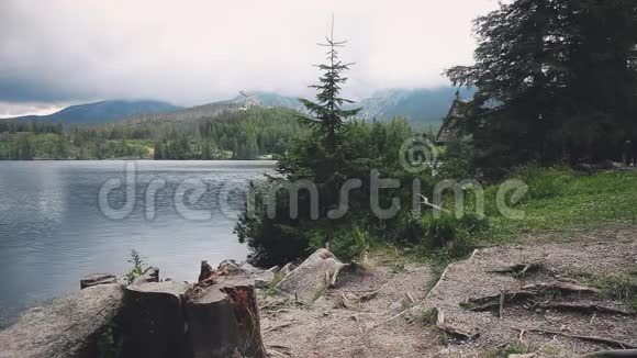 平静的山湖清澈的水林视频的预览图