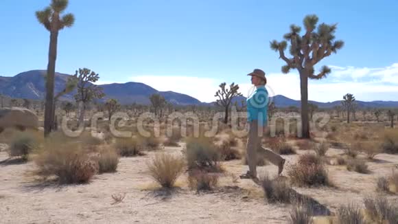 披着牛仔帽的美女走在莫哈韦沙漠上石头和约书亚树视频的预览图