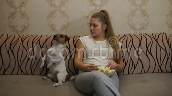 带着狗看电视的女人视频的预览图
