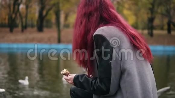 秋天在公园的池塘边穿着温暖外套的红头发女人在池塘边觅食慢镜头视频的预览图
