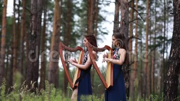 两个女竖琴手站在森林里在松树的背景上弹奏竖琴视频的预览图
