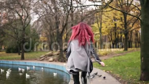 一位留着红色头发的迷人女子的后景她朝鸽子跑过来让它们在一个有人造的公园里飞走视频的预览图