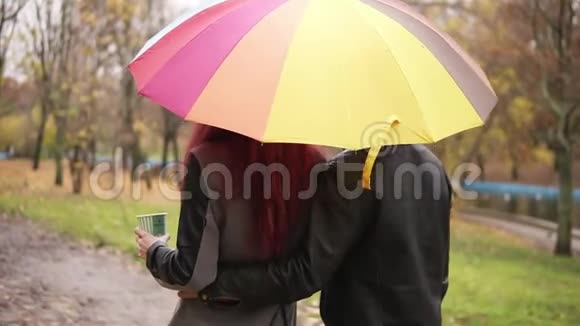 快乐的一对夫妇一起在秋天的公园里撑着一把五颜六色的雨伞穿皮夹克的漂亮男人拥抱视频的预览图