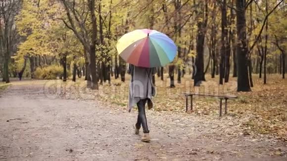 一位留着红色头发的年轻女子在秋天公园散步她带着五颜六色的彩虹伞拿着纸杯视频的预览图