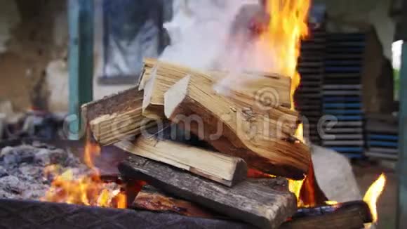 4是壁炉里燃烧着的木头的近景视频的预览图