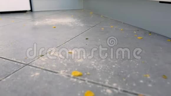 肮脏的厨房地板上有食物剩菜面粉玉米片后烹饪特写镜头视频的预览图