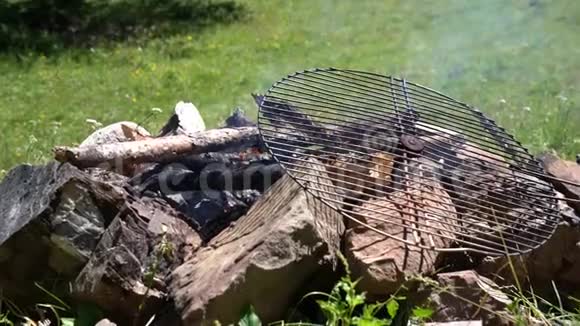 夏季Bivouac营地烧烤4K视频视频的预览图