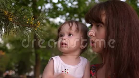 婴儿坐在母亲的怀里看着松树上的针视频的预览图