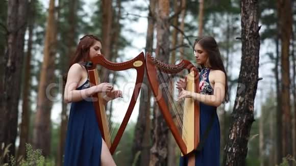 两个女竖琴演奏者站在森林里演奏竖琴视频的预览图