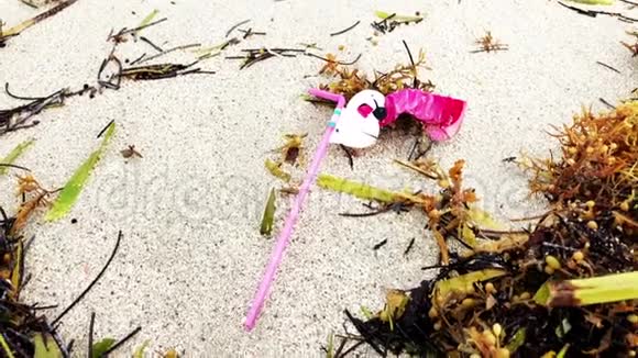 海滩粉红火烈鸟塑料吸管视频的预览图