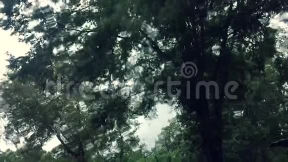 飓风风和雨水在树木中通过挡风玻璃视频的预览图