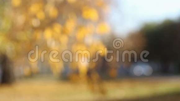 秋天落叶飘落视频的预览图