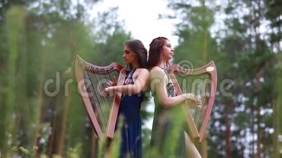 两个女竖琴手站在森林里在松树的背景上弹奏竖琴视频的预览图