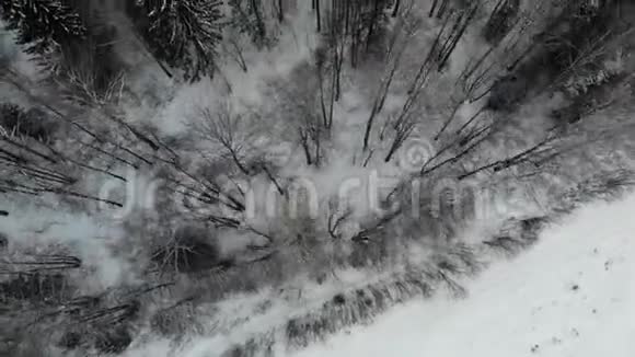 飞越雪林美丽的冬季景观空中射击4K无人机的录像视频的预览图