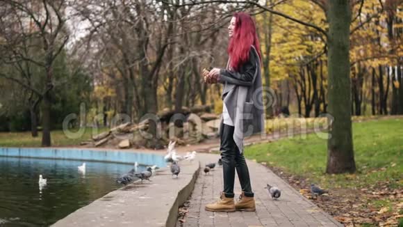 秋天公园的池塘边穿着暖大衣的红头发女子在旁边喂海鸥慢镜头视频的预览图
