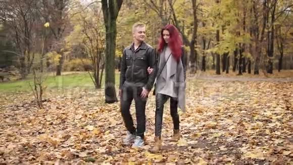 一对浪漫的年轻夫妇白天牵着手在秋日公园散步地上的金叶毯子视频的预览图