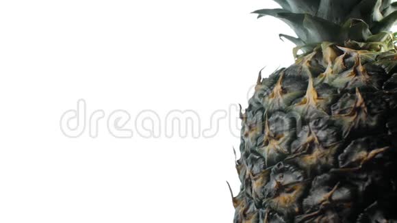 菠萝在白色背景上旋转视频的预览图
