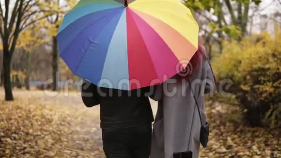 秋天公园里一对年轻夫妇抱着一把五颜六色的拿着一把五颜六色的雨伞把它拧成一团视频的预览图