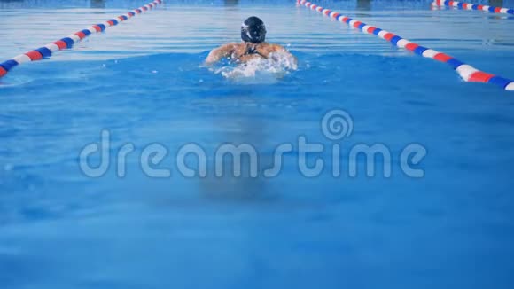 游泳运动员以完美的蝴蝶风格远离相机视频的预览图