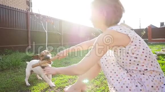 宠物和户外娱乐的概念年轻女子玩狗杰克罗素梗视频的预览图