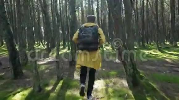 在绿色秋林中奔跑的人视频的预览图