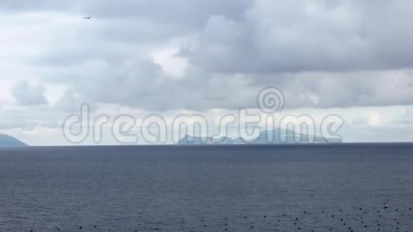 地中海上常见的海鸥和那不勒斯的卡普里岛一起飞翔视频的预览图