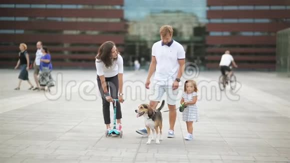 在夏天温暖的日子里可爱的家庭和他们的小猎犬一起在城市里度过时光视频的预览图