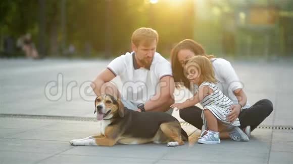 可爱的家人互相拥抱坐在地上在夏季日落在城市可爱的女儿拥抱比格犬视频的预览图