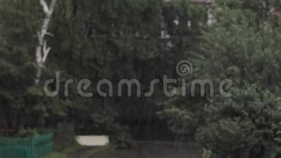 公园里倾盆大雨降雨录像视频的预览图