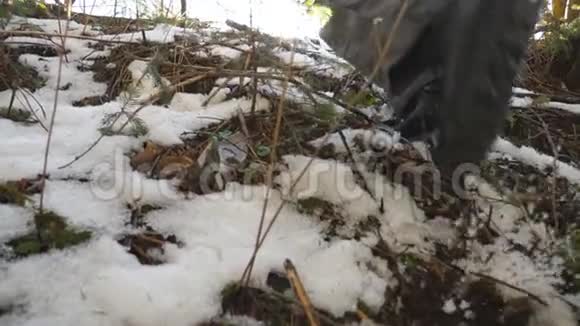 在冬天的山林中不可辨认的徒步旅行者在雪坡上慢跑爬山的年轻人视频的预览图
