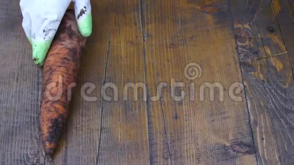 一个农民持有胡萝卜手和胡萝卜污染地球的生物产品手中胡萝卜的特写镜头视频的预览图