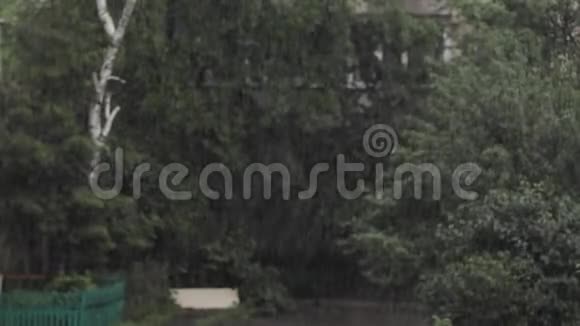 公园里倾盆大雨降雨录像视频的预览图