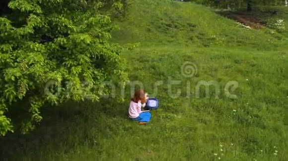 一个年轻漂亮的女孩带着科吉狗坐在树下的草地上视频的预览图